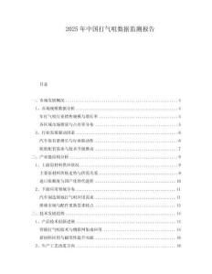 2025年中國打氣咀數據監測報告