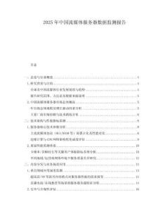 2025年中國(guó)流媒體服務(wù)器數(shù)據(jù)監(jiān)測(cè)報(bào)告