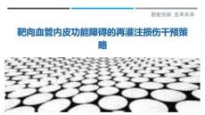 靶向血管內(nèi)皮功能障礙的再灌注損傷干預(yù)策略-洞察與解讀