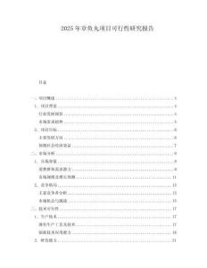 2025年章魚丸項(xiàng)目可行性研究報(bào)告