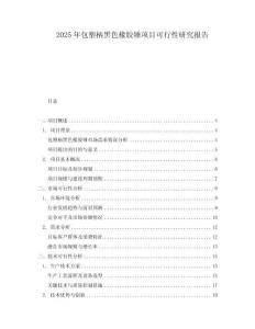 2025年包塑柄黑色橡膠錘項目可行性研究報告