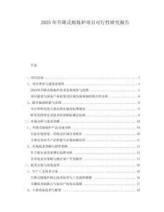 2025年升降式熔煉爐項目可行性研究報告
