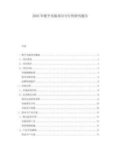 2025年熨平光版項目可行性研究報告