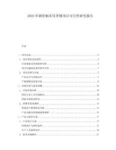 2025年鋼管柄多用斧錘項目可行性研究報告