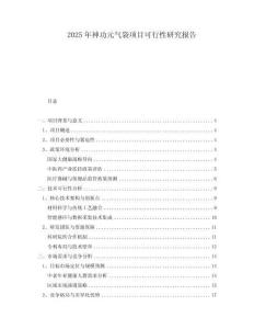 2025年神功元氣袋項目可行性研究報告