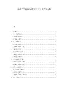 2025年溝底植絨布項目可行性研究報告