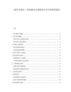 2025年低壓二氧化碳滅火系統(tǒng)項目可行性研究報告