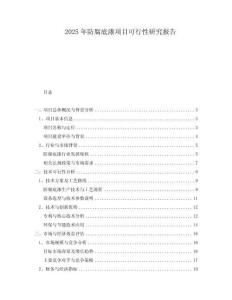 2025年防腐底漆項目可行性研究報告