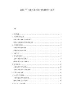 2025年卡通杯碟項(xiàng)目可行性研究報(bào)告