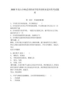 2025年嵩山少林武術(shù)職業(yè)學(xué)院單招職業(yè)適應(yīng)性考試題庫及答案詳解（典優(yōu)）