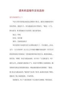 遺失的溫暖作文優(yōu)選份