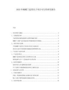 2025年蝴蝶蘭造型夾子項目可行性研究報告