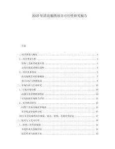 2025年清花瓶繡項目可行性研究報告