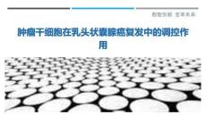 腫瘤干細(xì)胞在乳頭狀囊腺癌復(fù)發(fā)中的調(diào)控作用-洞察與解讀