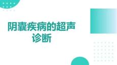 陰囊疾病的超聲診斷