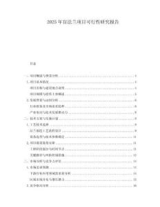 2025年盲法蘭項(xiàng)目可行性研究報(bào)告