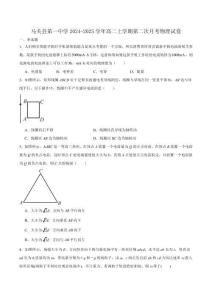 云南省文山壯族苗族自治州馬關縣第一中學校2024-2025學年高二上學期第二次月考物理試卷（含答案）
