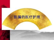 膽漏的醫(yī)療護(hù)理PPT