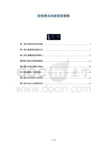 恐怖襲擊風險防控策略-洞察與解讀