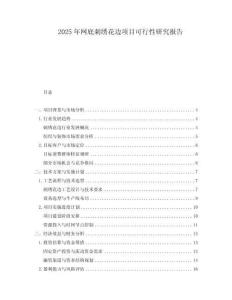 2025年網(wǎng)底刺繡花邊項目可行性研究報告