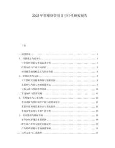 2025年錐形鋼管項(xiàng)目可行性研究報(bào)告