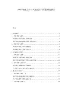2025年強力長桿風(fēng)炮項目可行性研究報告