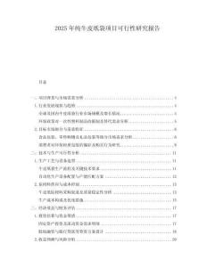 2025年純牛皮紙袋項目可行性研究報告