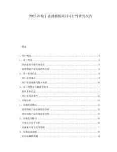 2025年貼于玻璃棉板項目可行性研究報告