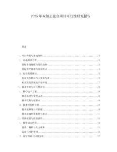 2025年雙傾正弦臺項目可行性研究報告