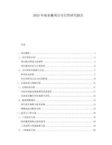 2025年雨水柵項(xiàng)目可行性研究報(bào)告