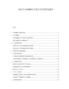 2025年夾柄螺絲刀項目可行性研究報告