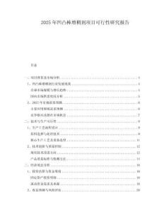 2025年凹凸棒增稠劑項目可行性研究報告
