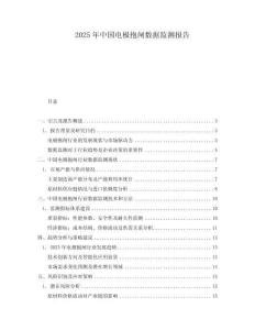 2025年中國電極抱閘數(shù)據(jù)監(jiān)測報告