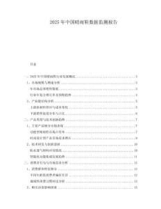 2025年中國(guó)晴雨鞋數(shù)據(jù)監(jiān)測(cè)報(bào)告