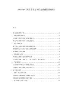 2025年中國數(shù)字顯示相位表數(shù)據(jù)監(jiān)測報告