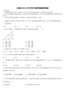 江孜縣2024-2025學年十校聯(lián)考最后數(shù)學試題含解析