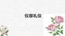 儀容禮儀（精品課件）