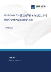 2025-2031年中國雙輪平衡車電池行業市場全景分析及產業前景研判報告
