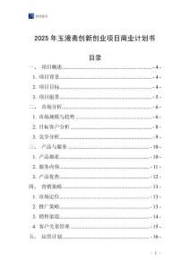2025年玉液齋創新創業項目商業計劃書
