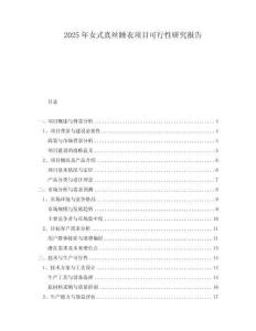 2025年女式真絲睡衣項目可行性研究報告