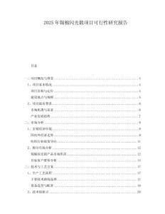 2025年錦棉閃光鍛項目可行性研究報告