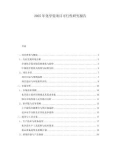2025年化學(xué)瓷項目可行性研究報告