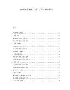 2025年蝶形螺釘項(xiàng)目可行性研究報(bào)告