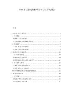 2025年鋁條切割機項目可行性研究報告