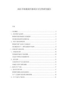 2025年轉(zhuǎn)椅調(diào)節(jié)器項(xiàng)目可行性研究報(bào)告