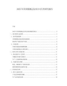 2025年多參數(shù)測定儀項(xiàng)目可行性研究報(bào)告