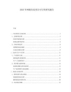 2025年網(wǎng)眼坎肩項目可行性研究報告