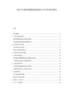 2025年透明質(zhì)酸鈉制劑項目可行性研究報告
