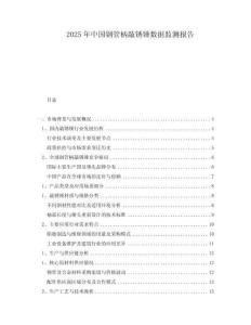 2025年中國鋼管柄敲銹錘數據監測報告
