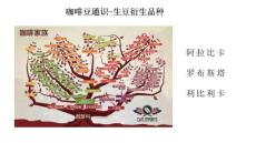 一咖啡豆通識(shí)生豆衍生品種